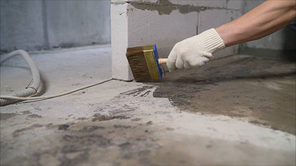 24/7 Emergency Crawl Space Encapsulation experts in Wilson, NC